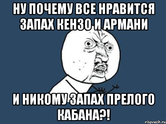 ну почему все нравится запах кензо и армани и никому запах прелого кабана?!, Мем Ну почему