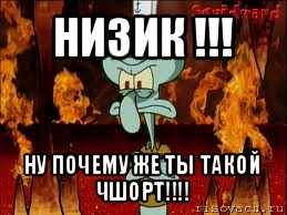 низик !!! ну почему же ты такой чшорт!!!, Мем злой сквидвард