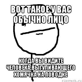 вот такое у вас обычно лицо когда вы видите человека,выгуливающего хомячка на поводке, Мем покер фейс