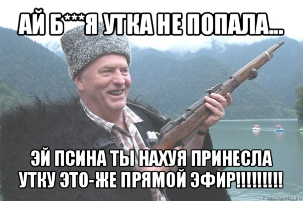 ай б***я утка не попала... эй псина ты нахуя принесла утку это-же прямой эфир!!!, Мем жирик