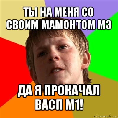 ты на меня со своим мамонтом м3 да я прокачал васп м1!, Мем Злой школьник