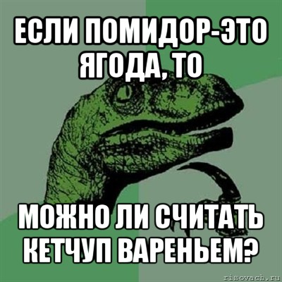 если помидор-это ягода, то можно ли считать кетчуп вареньем?, Мем Филосораптор