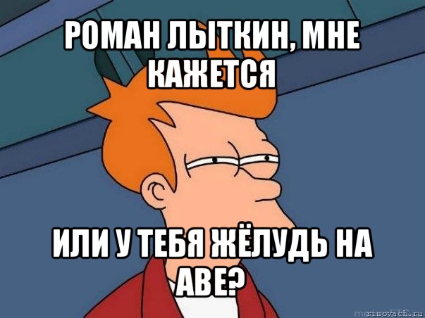 роман лыткин, мне кажется или у тебя жёлудь на аве?, Мем  Фрай (мне кажется или)