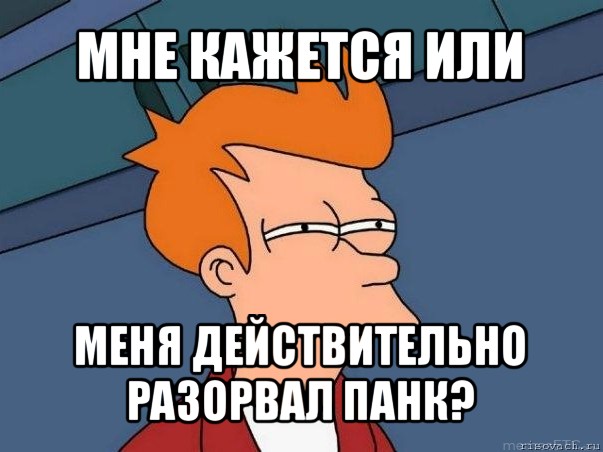 мне кажется или меня действительно разорвал панк?, Мем  Фрай (мне кажется или)