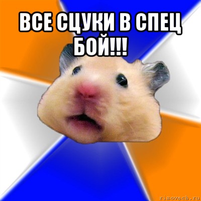 все сцуки в спец бой!!! 