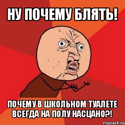 ну почему блять! почему в школьном туалете всегда на полу насцано?!