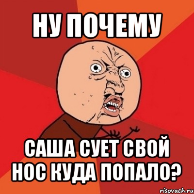 ну почему саша сует свой нос куда попало?