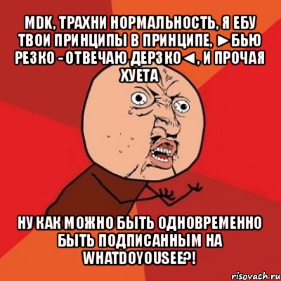 mdk, трахни нормальность, я ебу твои принципы в принципе, ►бью резко - отвечаю дерзко◄, и прочая хуета ну как можно быть одновременно быть подписанным на whatdoyousee?!, Мем Почему