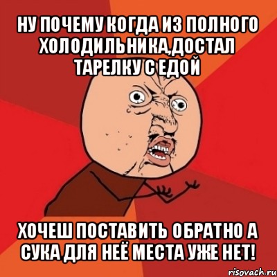 ну почему когда из полного холодильника,достал тарелку с едой хочеш поставить обратно а сука для неё места уже нет!, Мем Почему