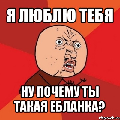 я люблю тебя ну почему ты такая ебланка?, Мем Почему