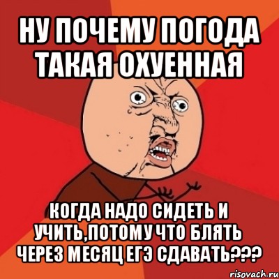 ну почему погода такая охуенная когда надо сидеть и учить,потому что блять через месяц егэ сдавать???, Мем Почему