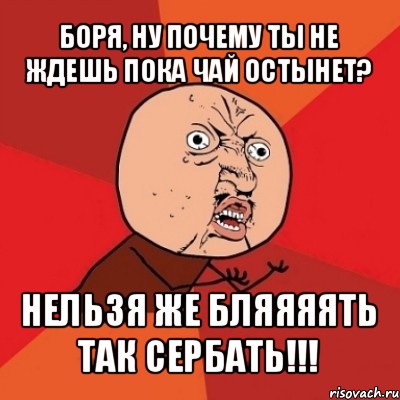 боря, ну почему ты не ждешь пока чай остынет? нельзя же бляяяять так сербать!!!, Мем Почему