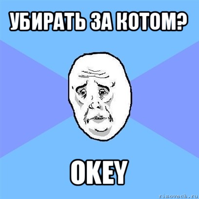 убирать за котом? okey, Мем Okay face