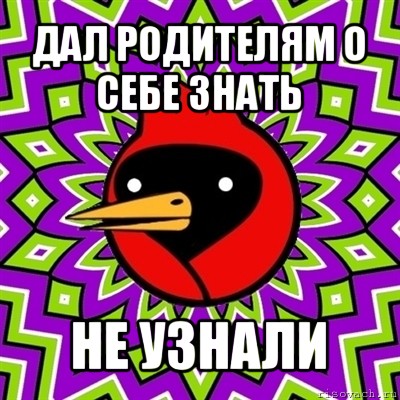 дал родителям о себе знать не узнали, Мем Омская птица