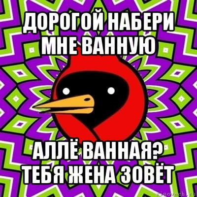 дорогой набери мне ванную аллё ванная? тебя жена зовёт, Мем Омская птица