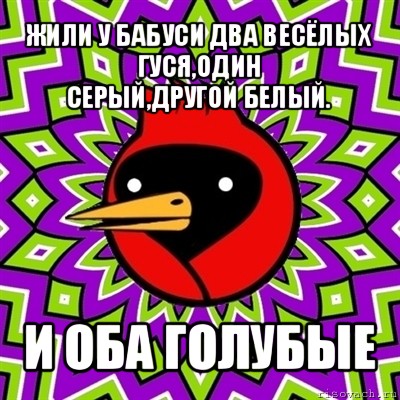 жили у бабуси два весёлых гуся,один
серый,другой белый. и оба голубые, Мем Омская птица