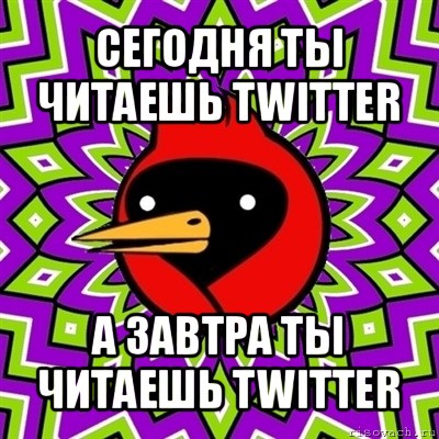 сегодня ты читаешь twitter а завтра ты читаешь twitter, Мем Омская птица