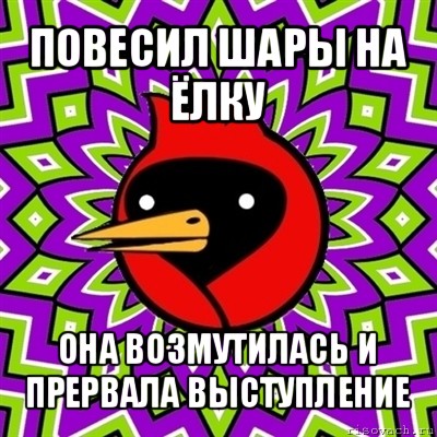 повесил шары на ёлку она возмутилась и прервала выступление, Мем Омская птица