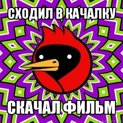 сходил в качалку скачал фильм, Мем Омская птица