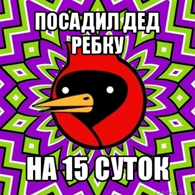 посадил дед ребку на 15 суток, Мем Омская птица