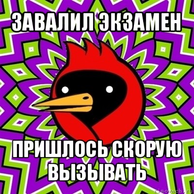 завалил экзамен пришлось скорую вызывать, Мем Омская птица