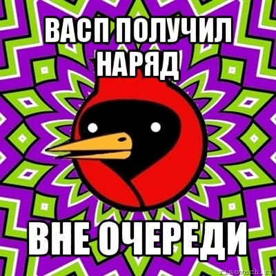 васп получил наряд вне очереди, Мем Омская птица