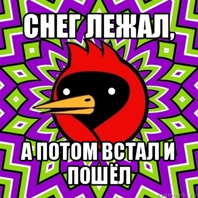 снег лежал, а потом встал и пошёл, Мем Омская птица