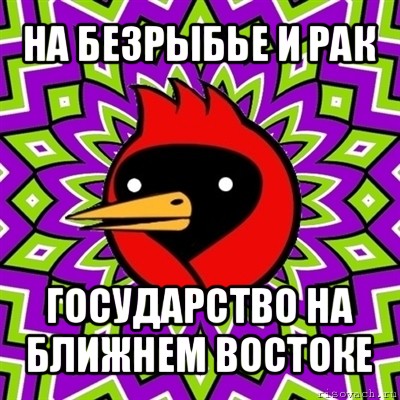 на безрыбье и рак государство на ближнем востоке, Мем Омская птица