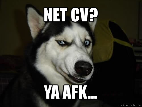 Net CV? Ya afk..., Комикс  Собака подозревака