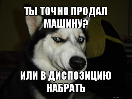 Ты точно продал машину? Или в диспозицию набрать, Комикс  Собака подозревака