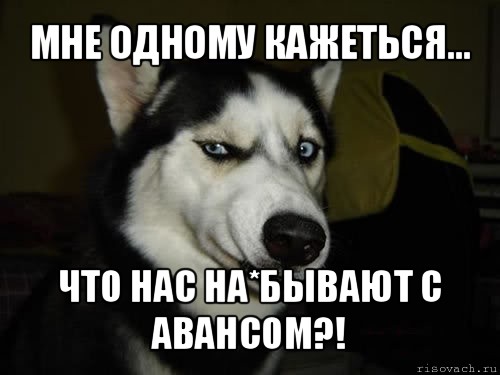 МНЕ ОДНОМУ КАЖЕТЬСЯ... ЧТО НАС НА*БЫВАЮТ С АВАНСОМ?!, Комикс  Собака подозревака