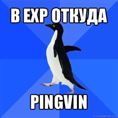 в exp откуда pingvin, Мем  Социально-неуклюжий пингвин