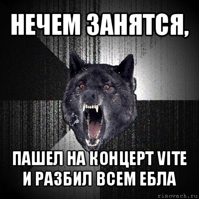 нечем занятся, пашел на концерт vite и разбил всем ебла, Мем Сумасшедший волк