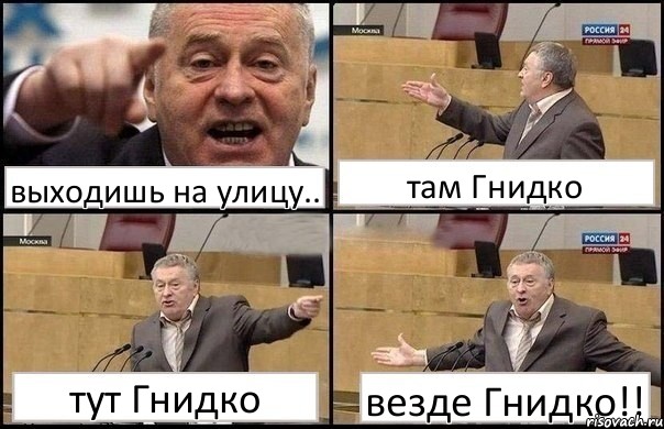 выходишь на улицу.. там Гнидко тут Гнидко везде Гнидко!!, Комикс Жириновский