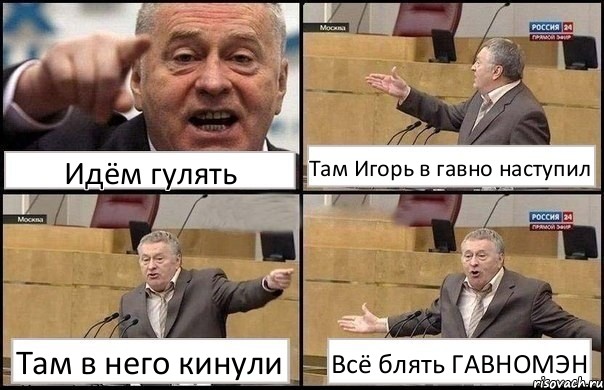 Идём гулять Там Игорь в гавно наступил Там в него кинули Всё блять ГАВНОМЭН, Комикс Жириновский