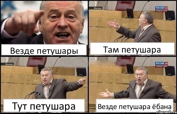 Везде петушары Там петушара Тут петушара Везде петушара ёбана, Комикс Жириновский