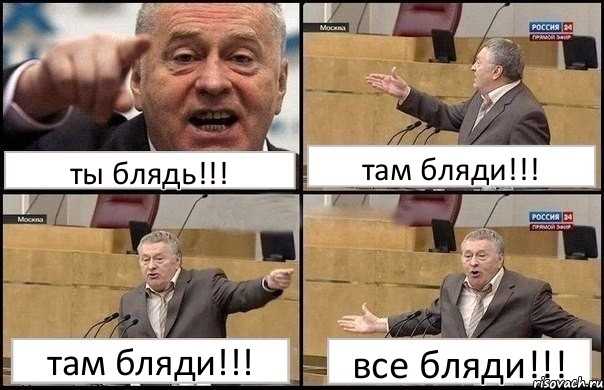 ты блядь!!! там бляди!!! там бляди!!! все бляди!!!, Комикс Жириновский