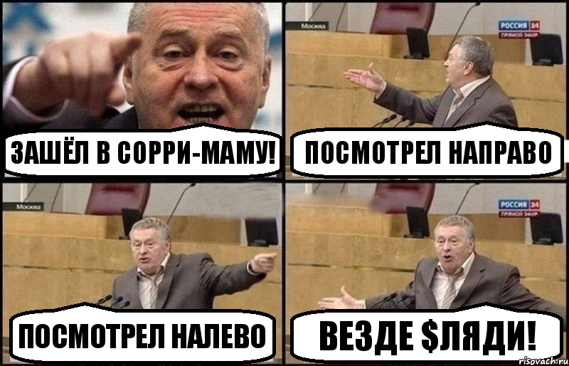 Зашёл в Сорри-маму! Посмотрел направо Посмотрел налево Везде $ляди!, Комикс Жириновский