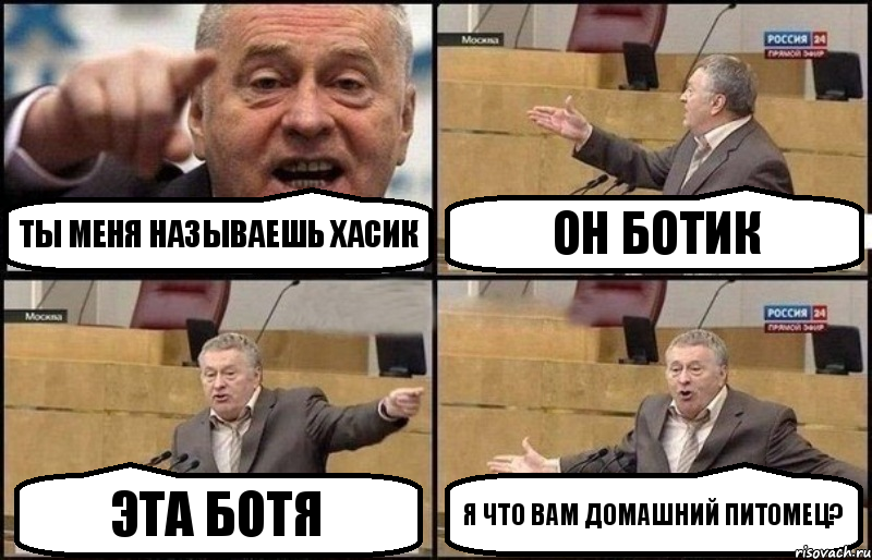 Ты меня называешь Хасик Он Ботик Эта Ботя Я что вам Домашний Питомец?, Комикс Жириновский