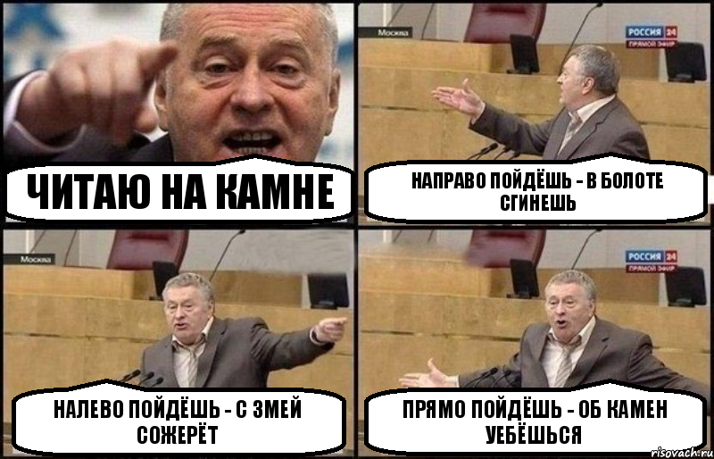 Читаю на камне Направо пойдёшь - в болоте сгинешь Налево пойдёшь - с змей сожерёт Прямо пойдёшь - об камен уебёшься, Комикс Жириновский