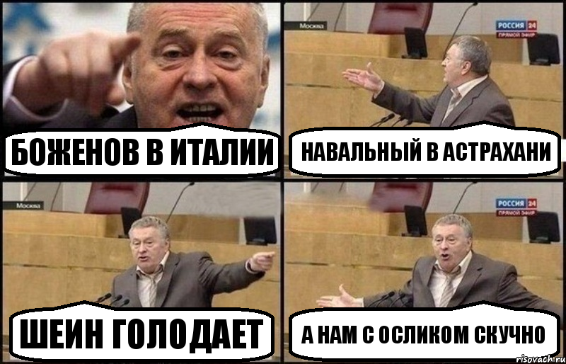 Боженов в Италии Навальный в Астрахани Шеин голодает А нам с осликом скучно, Комикс Жириновский