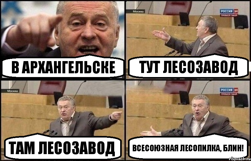 в Архангельске тут лесозавод там лесозавод всесоюзная лесопилка, блин!, Комикс Жириновский