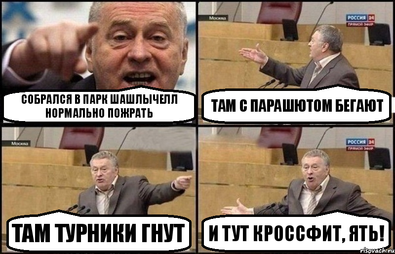 Собрался в парк шашлычелл нормально пожрать Там с парашютом бегают Там турники гнут И тут кроссфит, ять!, Комикс Жириновский