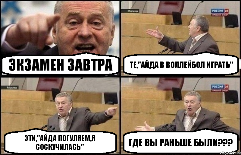 экзамен завтра те,"айда в воллейбол играть" эти,"айда погуляем,я соскучилась" где вы раньше были???, Комикс Жириновский