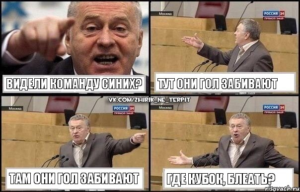 Видели команду синих? Тут они гол забивают Там они гол забивают Где кубок, блеать?, Комикс Жириновский