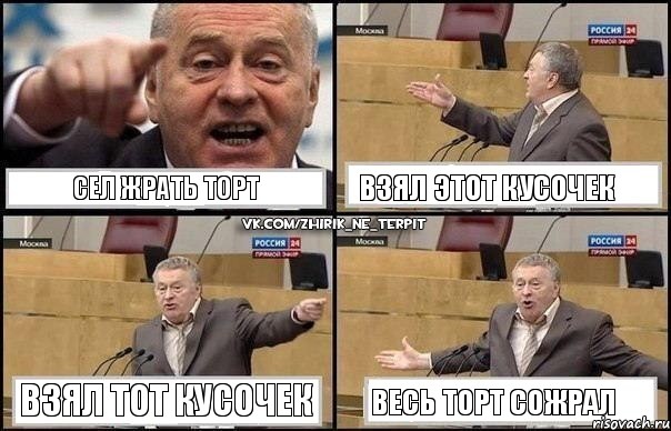 СЕЛ ЖРАТЬ ТОРТ взял этот кусочек взял тот кусочек ВЕСЬ ТОРТ СОЖРАЛ, Комикс Жириновский