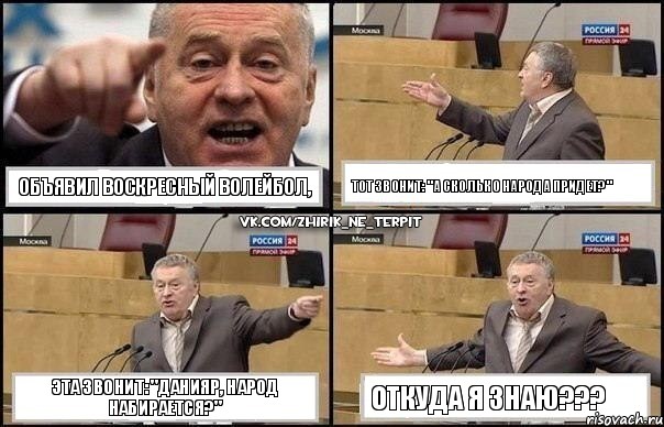 ОБЪЯВИЛ ВОСКРЕСНЫЙ ВОЛЕЙБОЛ, ТОТ ЗВОНИТ: "А СКОЛЬКО НАРОДА ПРИДЕТ?" ЭТА ЗВОНИТ: "ДАНИЯР, НАРОД НАБИРАЕТСЯ?" ОТКУДА Я ЗНАЮ???, Комикс Жириновский