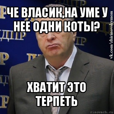 че власик,на уме у нее одни коты? хватит это терпеть, Мем Хватит это терпеть (Жириновский)