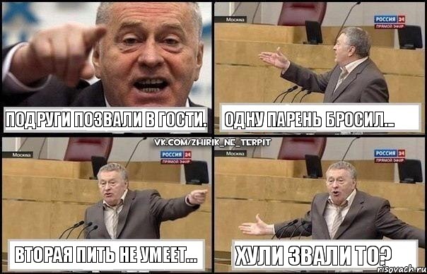 Подруги позвали в гости. Одну парень бросил... Вторая пить не умеет... Хули звали то?, Комикс Жириновский