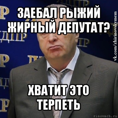 заебал рыжий жирный депутат? хватит это терпеть, Мем Хватит это терпеть (Жириновский)